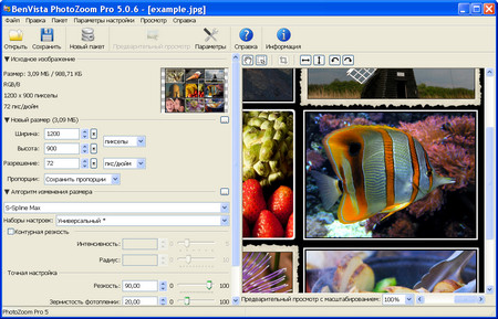 Benvista PhotoZoom Pro 5.0.6