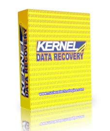  Kernel for Windows Data Recovery 13.06.01