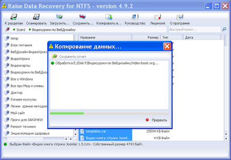 Raise Data Recovery for FAT / NTFS 4.9.2